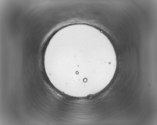 X0000064741502200603031654