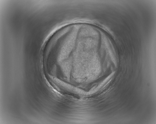 X0000064741504200603031654