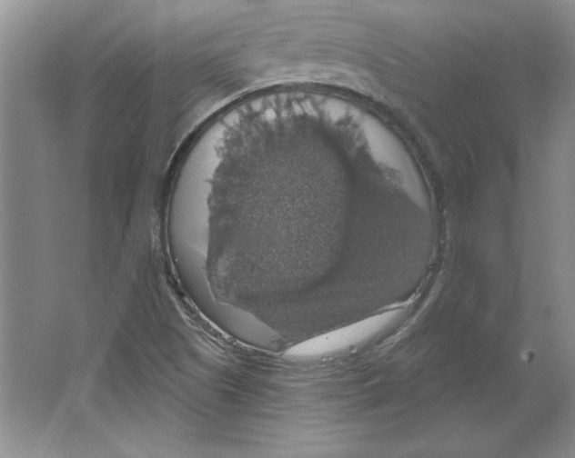 X0000064741505200603031654