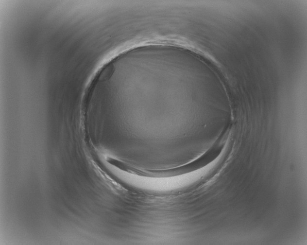 X0000064741506200603031654