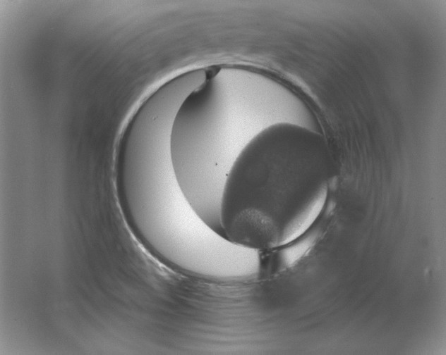 X0000064741508200603031654