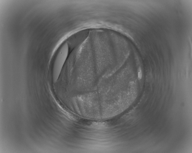 X0000064741509200603031654