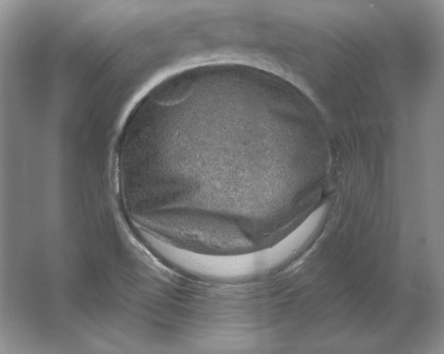 X0000064741510200603031654