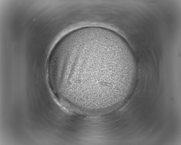 X0000064741511200603031654