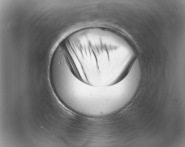 X0000064741512200603031654