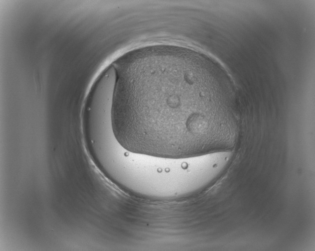 X0000064741514200603031654