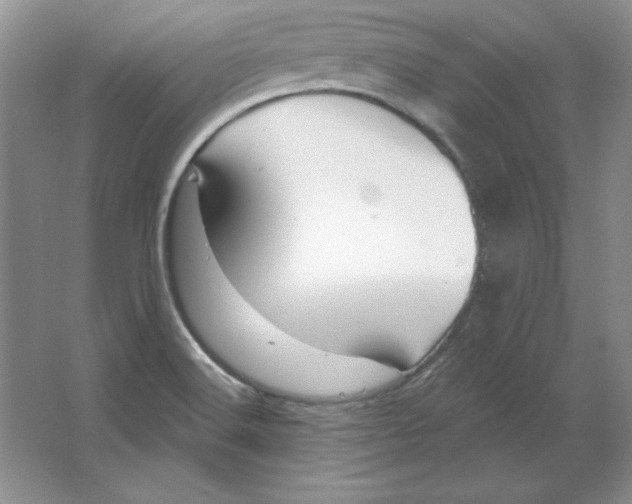 X0000064741516200603031654