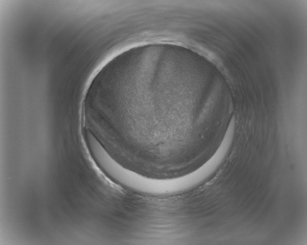 X0000064741520200603031654