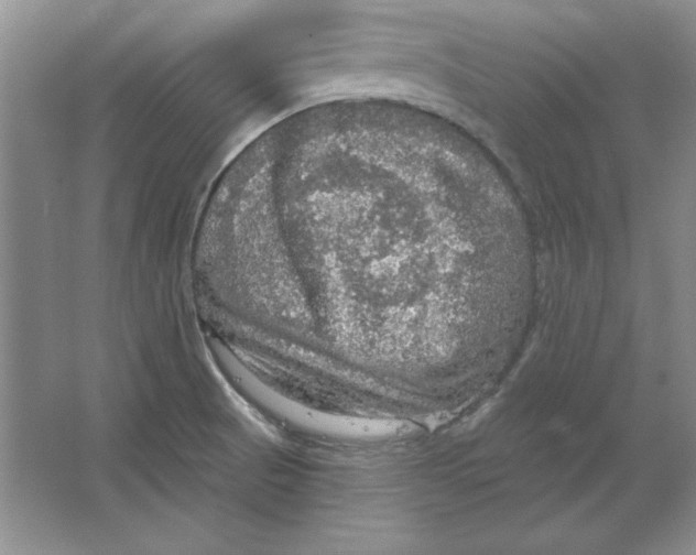 X0000064741521200603031654