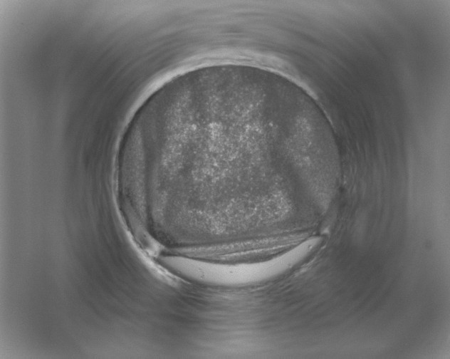 X0000064741523200603031654