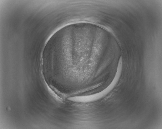 X0000064741524200603031654