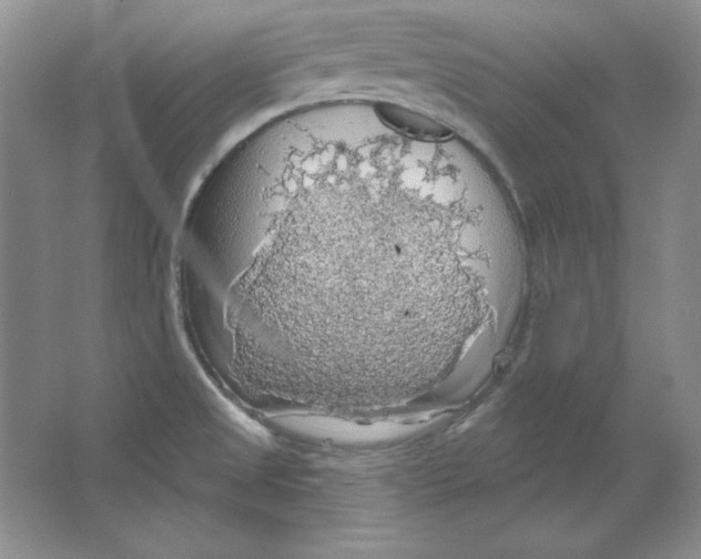 X0000064741525200603031654