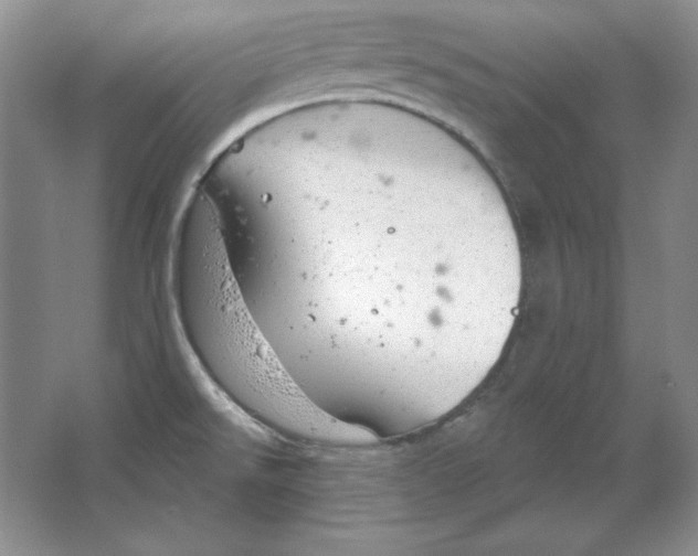 X0000064741526200603031654