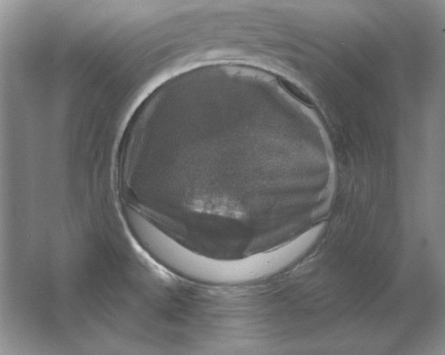 X0000064741527200603031654