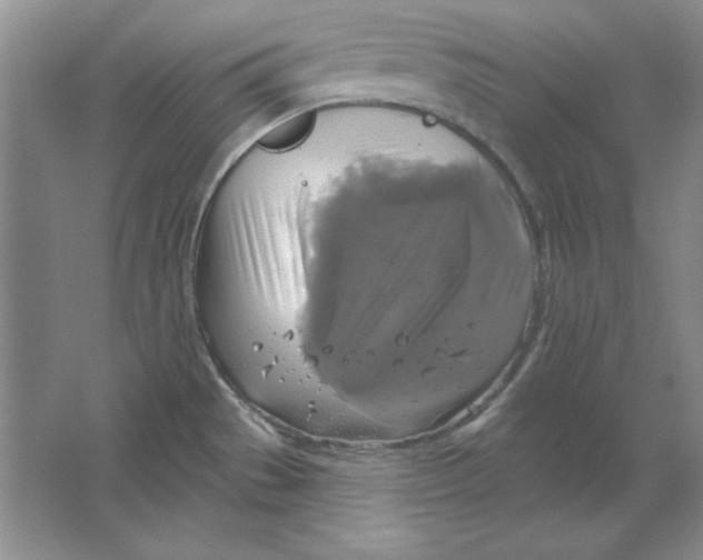 X0000064741529200603031654