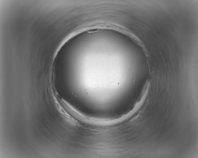 X0000064741530200603031654