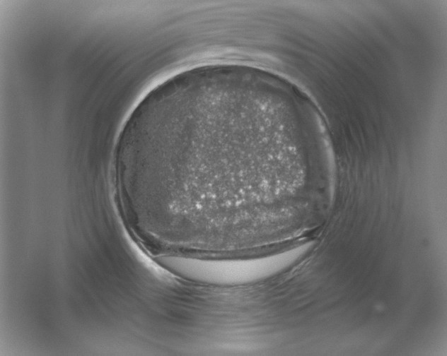 X0000064741531200603031654