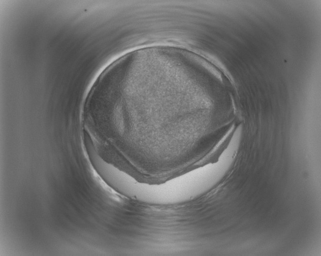 X0000064741532200603031654