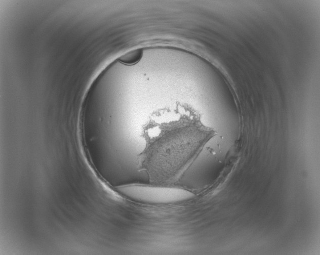 X0000064741533200603031654