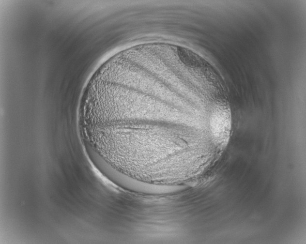 X0000064741535200603031654