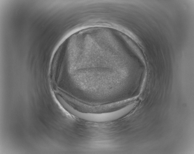 X0000064741536200603031654