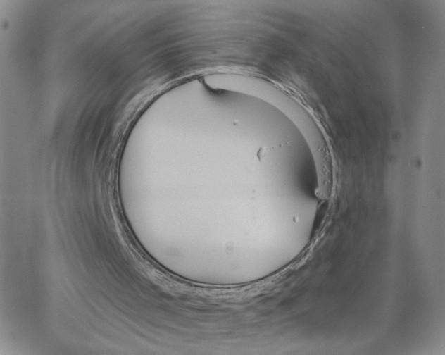 X0000064740001200603131330