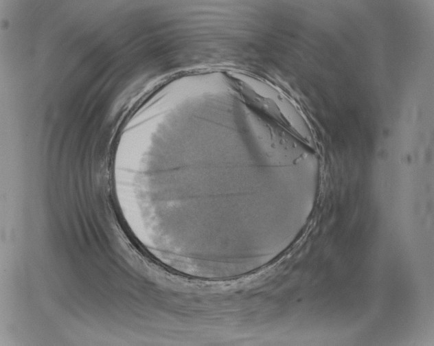 X0000064740002200603131330