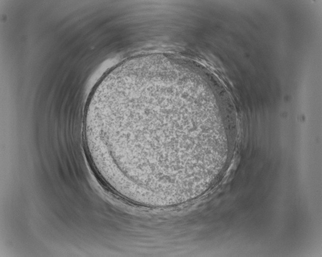 X0000064740003200603131330