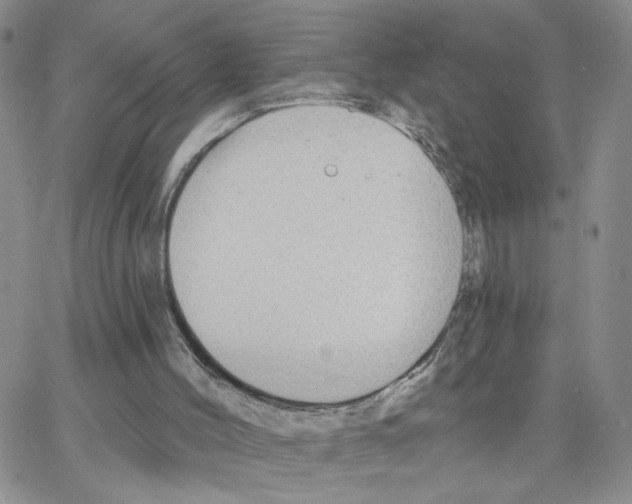 X0000064740004200603131330