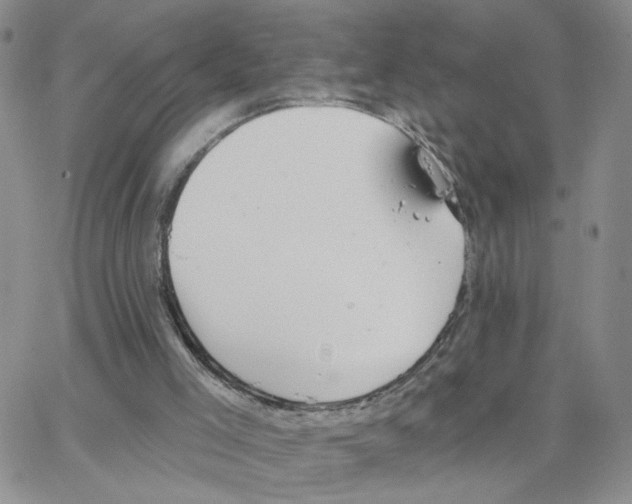 X0000064740005200603131330