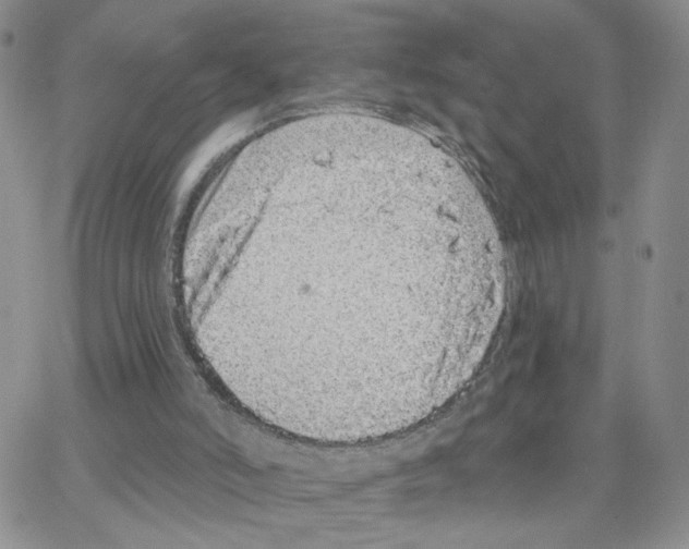 X0000064740006200603131330