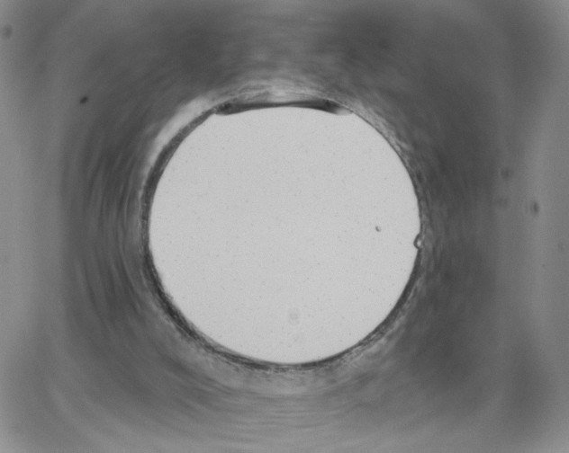 X0000064740008200603131330