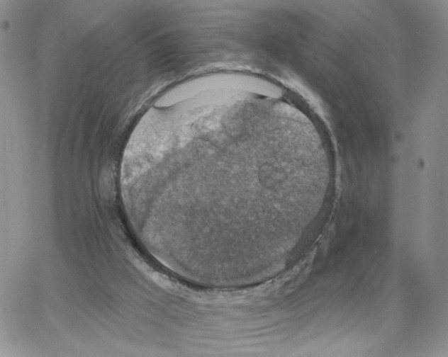 X0000064740009200603131330