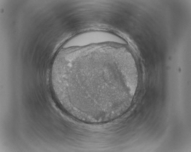 X0000064740010200603131330