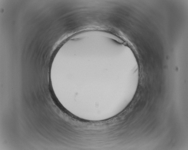 X0000064740011200603131330