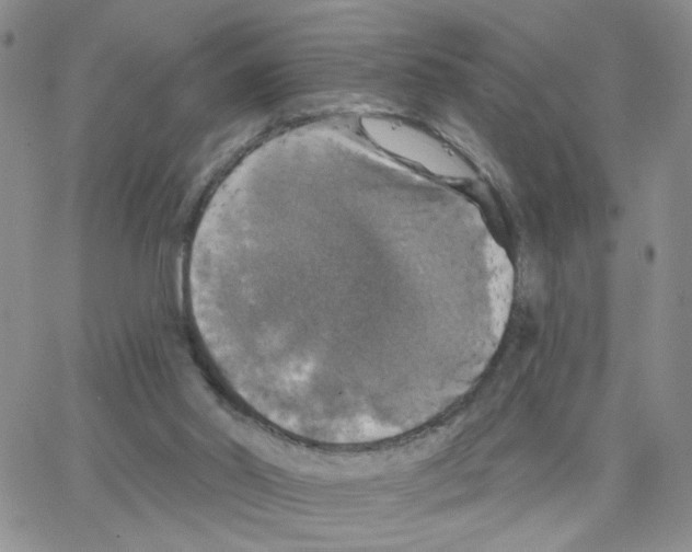 X0000064740014200603131330