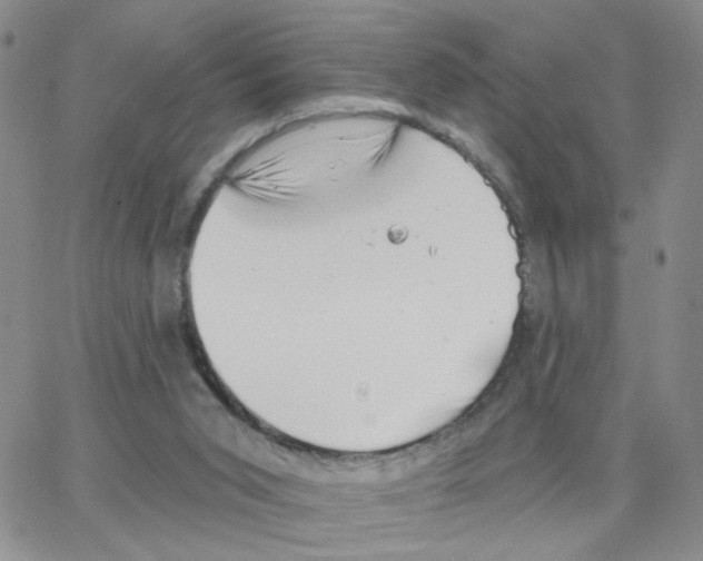 X0000064740015200603131330