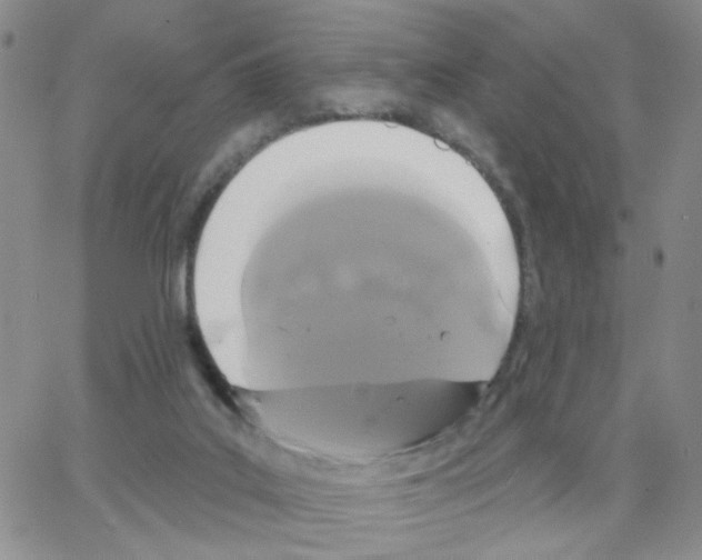 X0000064740019200603131330