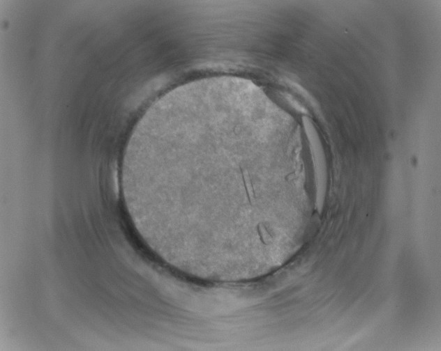 X0000064740020200603131330