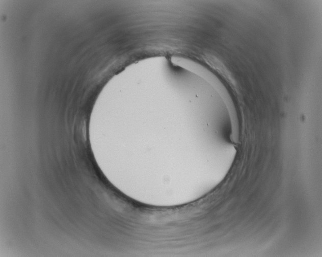 X0000064740021200603131330