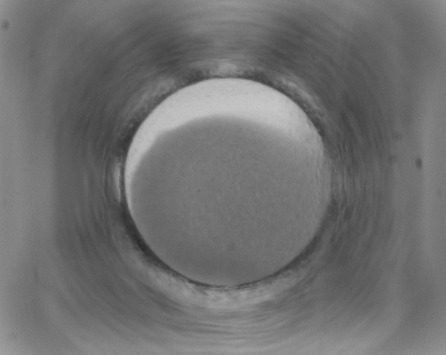 X0000064740022200603131330