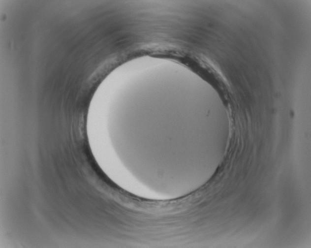 X0000064740023200603131330