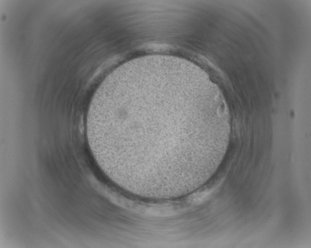 X0000064740024200603131330