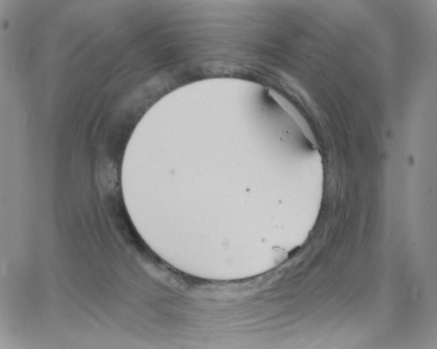 X0000064740025200603131330