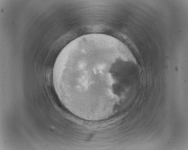 X0000064740026200603131330