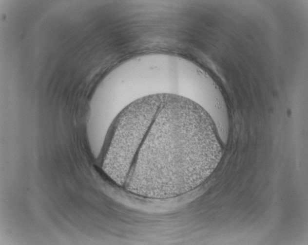 X0000064740027200603131330