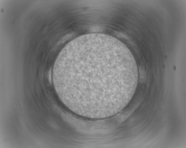 X0000064740028200603131330