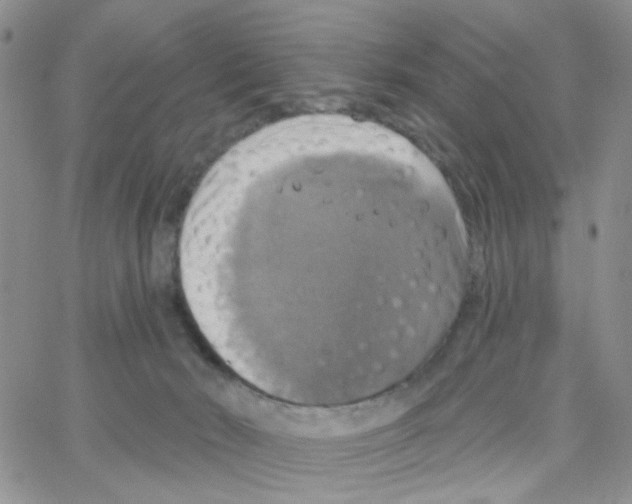 X0000064740030200603131330