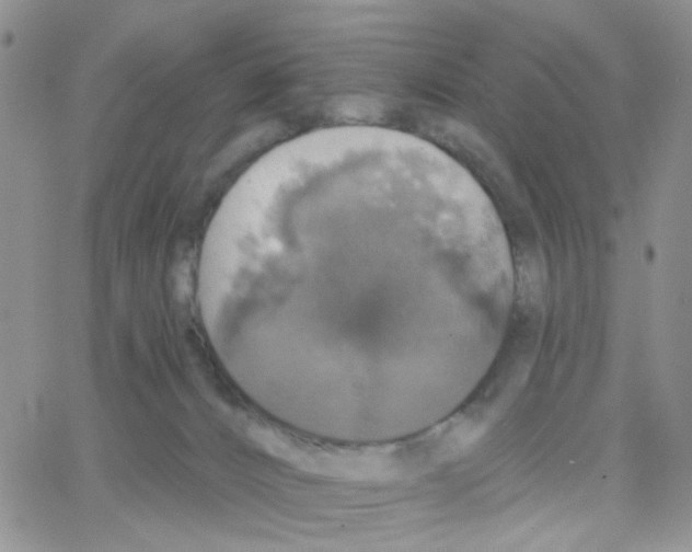 X0000064740032200603131330