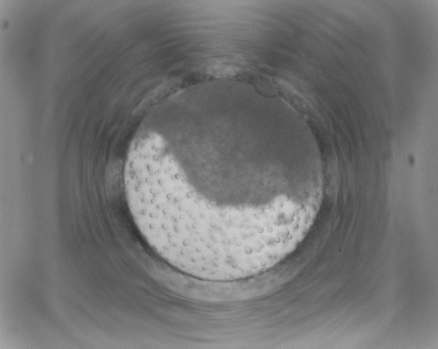 X0000064740034200603131329